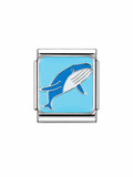 Baleine Azur
