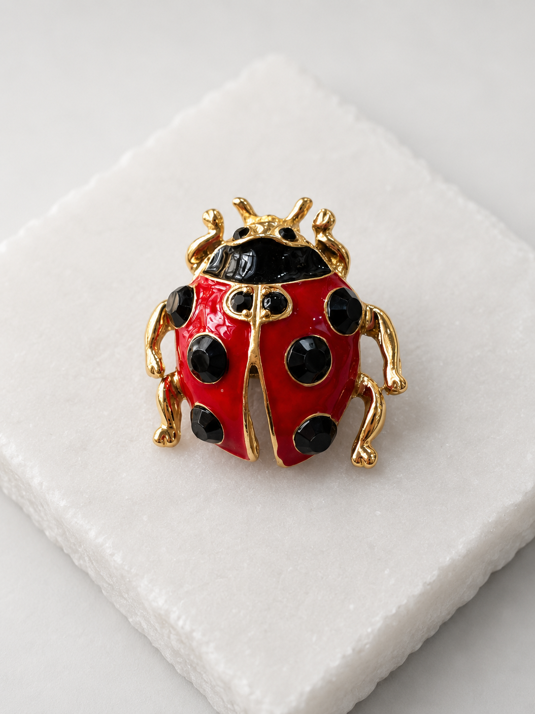 Broche Coccinelle Porte-Bonheur