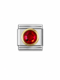 Ruby Crystal Charm